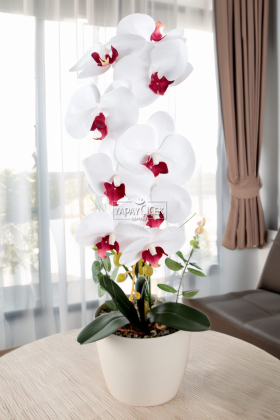 Saksıda Yapay Baskılı Islak Orkide 55 cm Beyaz-Bordo - Yapay Çiçek Deposu