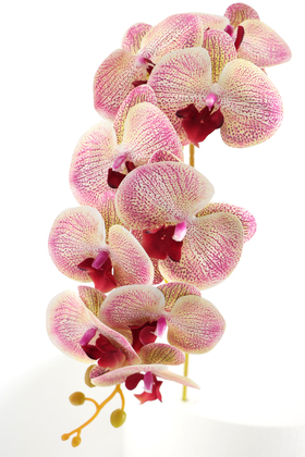 Yapay Çiçek Deposu - Yapay Dal Baskılı Orkide Çiçeği 88 cm Fuşya Krem