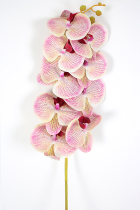 Yapay Dal Baskılı Orkide Çiçeği 88 cm Fuşya Krem - Thumbnail