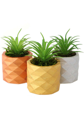 Yapay Sukulent Kaktüs Mini Beton Saksıda 3lü Set (Bakır-Altın-Gümüş) Succulent - 1