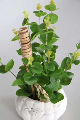 Beton Kabak Saksıda Yapay Okaliptus Bitkisi 30 cm - Thumbnail