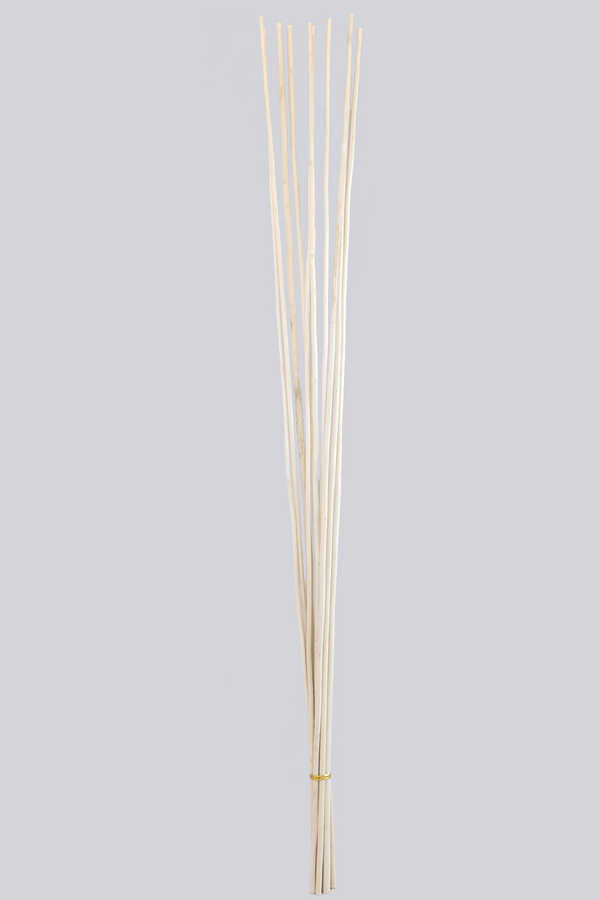 Salex Kuru Dal (uzun, 10 Adet; 150 Cm)