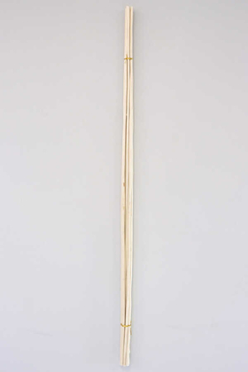 Salex Kuru Dal (Uzun, 10 Adet; 150 cm) - Thumbnail