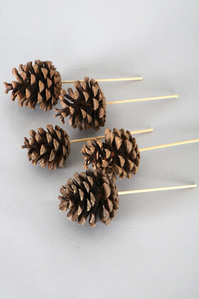 Kısa Bambu Saplı Çam Kozalak 5 Adet Naturel - 2