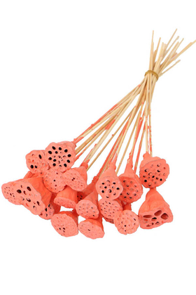 Yapay Çiçek Deposu - 20 Adet Bambu Şiş Saplı Mini Lotus Plant Somon (Gerçek Lotus)