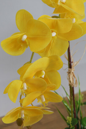 Beton Saksıda Yapay Baskılı Islak Orkide 55 cm Sarı - Thumbnail