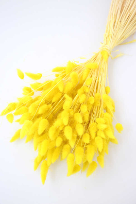 Yapay Çiçek Deposu - Kuru Çiçek Pamuk Otu (Yerli) Sarı