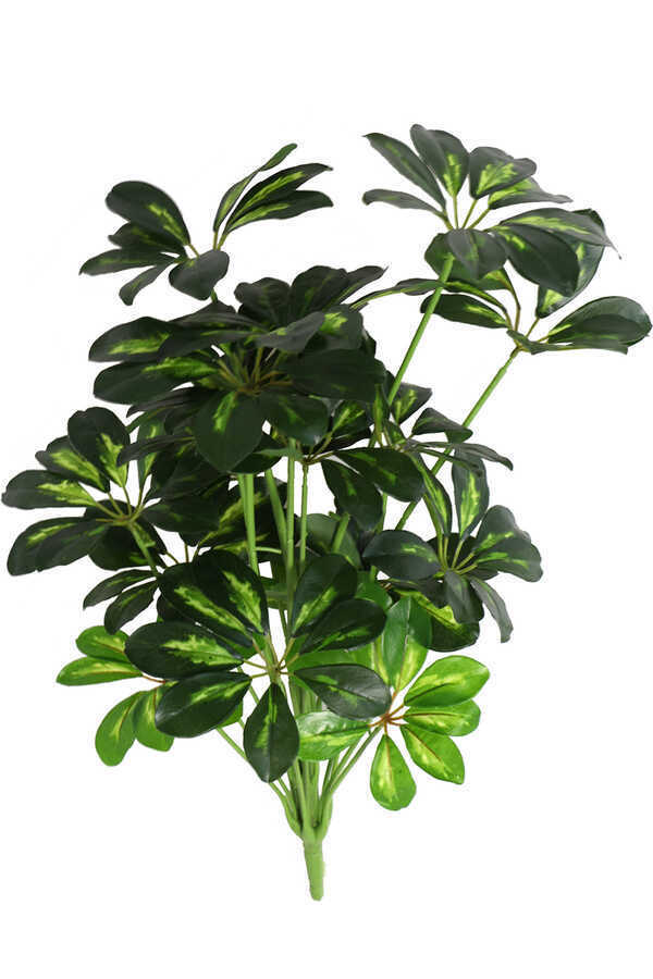 Yapay Şeflera Bitki Demeti 65cm (schefflera) Açık Yeşil