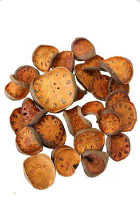 Tropic Kuru Bell Cup Slice Paket (200gr) - Yapay Çiçek Deposu