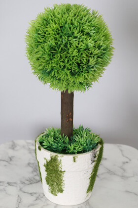 Yapay Çiçek Deposu - Dekoratif Seramik Saksıda Mini Top Şimşir Ağacı 32 cm