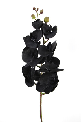 Yapay Çiçek Deposu - Premium Dolgun Siyah orkide Dalı 100 cm