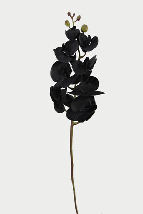 Premium Dolgun Siyah orkide Dalı 100 cm - Thumbnail