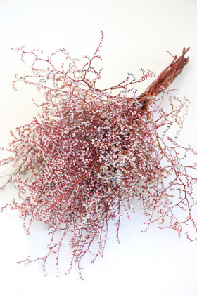 Yapay Çiçek Deposu - Şoklanmış Deniz Otu Demeti 80gr Kırmızı