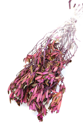 Yapay Çiçek Deposu - Şoklanmış Gökçe Dalı Demeti 50 cm Pembe