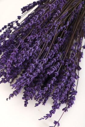 Şoklanmış Dökülmeye Dayanıklı Gerçek Lavanta Demeti Canlı Mor (100 gr) - 2