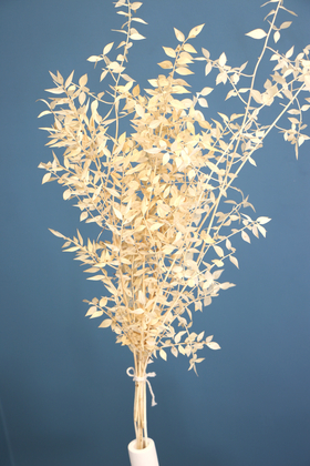 Yapay Çiçek Deposu - Şoklanmış Ruscus Aculeatus Kokina Krem-Beyaz