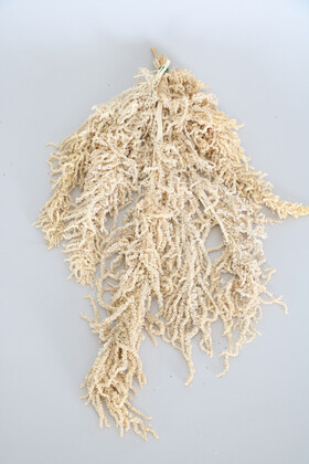 Yapay Çiçek Deposu - Şoklanmış Sarkan Amaranthus Demeti Beyaz-Krem