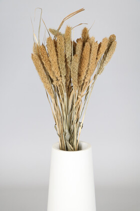 Yapay Çiçek Deposu - Şoklanmış Setteria(Pamuk) Demeti 75 gr Naturel