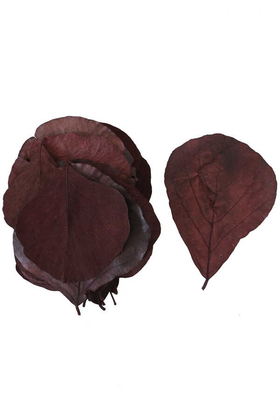 Yapay Çiçek Deposu - 25li Paket Şoklanmış Yaprak Cobra Leaf Grecol Kızıl Kahve