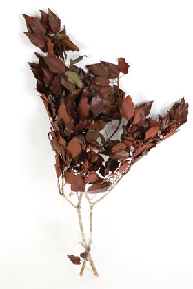 Yapay Çiçek Deposu - Şoklanmış Huş Ağacı Demeti Kızıl