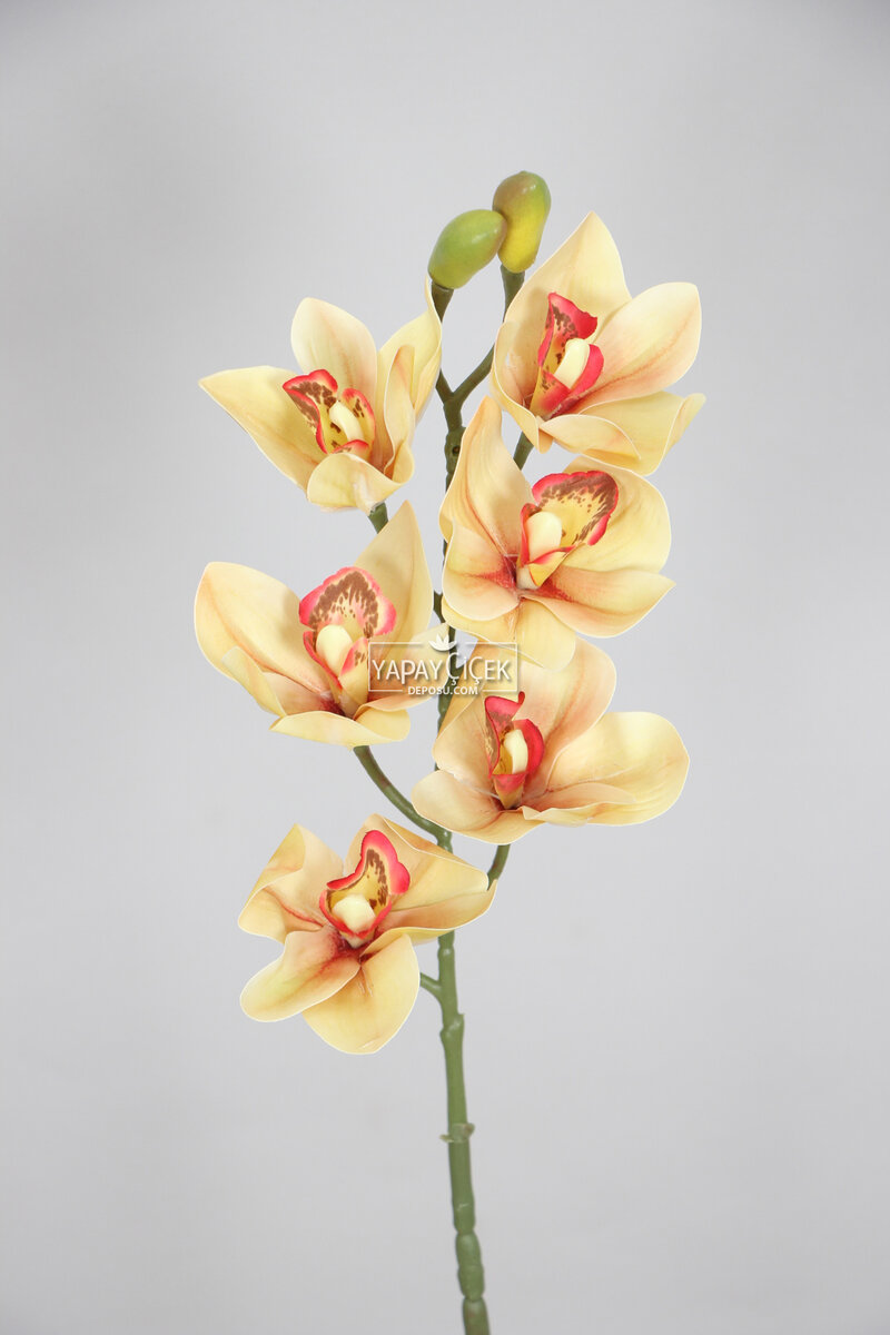 Yapay Islak Dokulu Premium Singapur Orkide Çiçeği 72 cm Somon