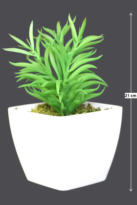 Yapay Çiçek Deposu - Melamin Saksıda Yapay Succulent Sukulent Peperomia 21cm