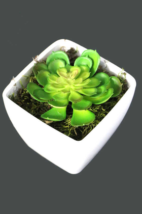 Yapay Çiçek Deposu - Melamin Saksıda Yapay Succulent Sukulent Perle 9 cm