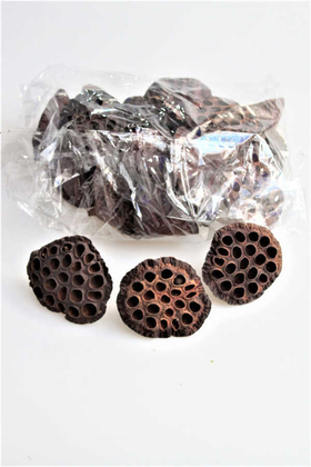 Yapay Çiçek Deposu - Succulent Lotus Plant Gerçek Lotus Çiçeği 20li Paket