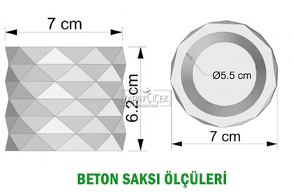 Sukulent Yeni Kaktüs Mini Beton Saksıda 3lü Set (Bakır-Altın-Gümüş) Succulent - Thumbnail