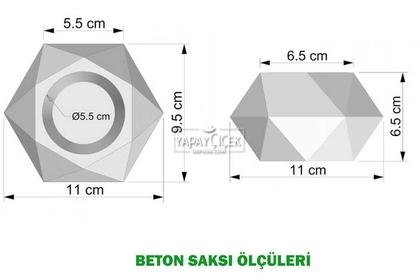 Dekoratif Geometrik Beton Saksıda Yeşillik Tanzimi 15cm - Thumbnail