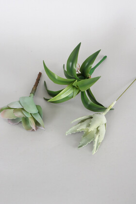 Yapay Succulent Sukulent Set - 27 - Yapay Çiçek Deposu