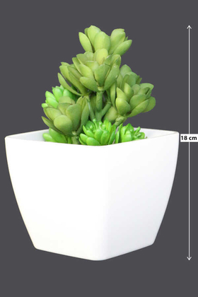 Melamin Saksıda Yapay Succulent Sukulent Echeveria Grap - Thumbnail