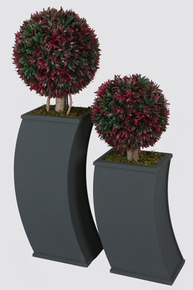 Yapay Çiçek Deposu - Kavisli Ahşap Saksıda Yapay Top Şimşir Defne Yapraklı Ağaç 2li Set