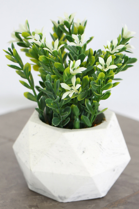 Yapay Çiçek Deposu - Beton Saksıda Yapay Masa Çiçeği Model 4