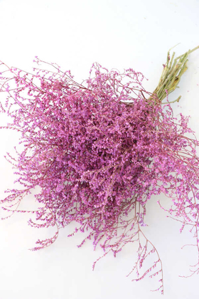 Yapay Çiçek Deposu - Şoklanmıs Tatarika Demeti 80gr(Dökülmez) Pembe