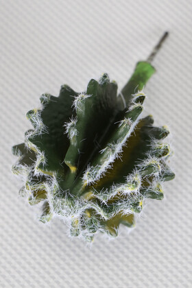 Yapay Çiçek Deposu - Yapay Succulent Sukulent Kaktüs Astrophytum Ornatum
