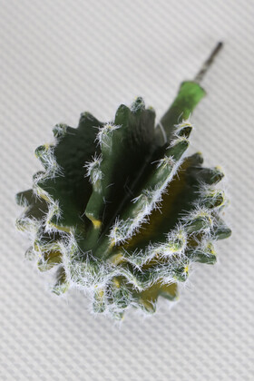 Yapay Succulent Sukulent Kaktüs Astrophytum Ornatum - Yapay Çiçek Deposu