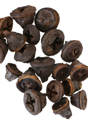 Tropik Mini Süsleme Chiruni Pod 100gr - 2