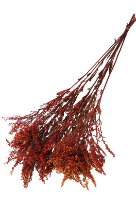 Yapay Çiçek Deposu - Şoklanmıs Solidago Canadensis Solidego Çiçeği Kanada Altınbaşak Kırmızı-Turuncu