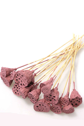 Yapay Çiçek Deposu - 20 Adet Bambu Şiş Saplı Mini Lotus Çiçeği Plant Soft Pembe (Gerçek Lotus)