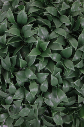 Hançer Yapraklı Şimşir Top 33 cm Yeşil - Thumbnail