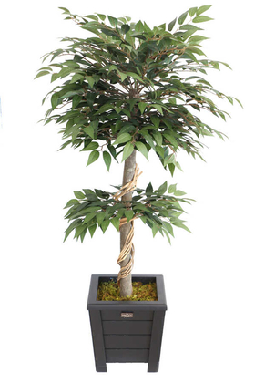 Yapay Çiçek Deposu - Yapay Lüx Ficus Ginseng Ağacı 100 cm Mat Yeşil