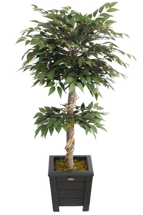 Yapay Lüx Ficus Ginseng Ağacı 100 cm Mat Yeşil - Thumbnail