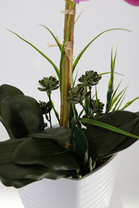 Melamin Beyaz Saksıda 2 Dal Orkide Aranjmanı 65 cm Fuşya - Thumbnail