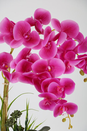 Melamin Beyaz Saksıda 2 Dal Orkide Aranjmanı 65 cm Fuşya - Thumbnail