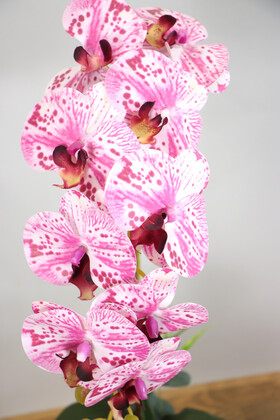 Beton Saksıda Yapay Baskılı Islak Orkide 55 cm Fuşya-Beyaz - Thumbnail