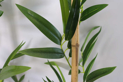 İri Yapraklı 110 cm Yapay 8 Dal Gerçek Bambu - Thumbnail