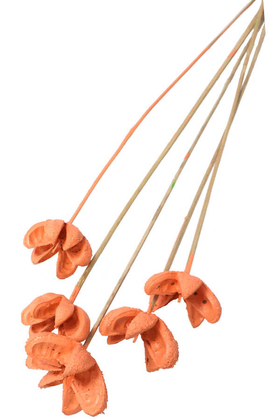 Yapay Çiçek Deposu - Tropic Bullet Flower Kuru Çiçek Tropik 5li Retro Somon