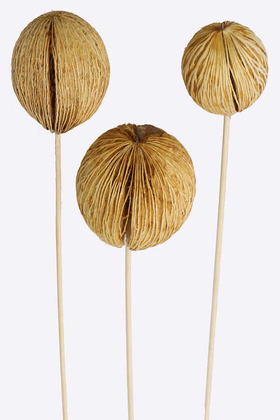 Yapay Çiçek Deposu - 3 Boy Mintola Ball 40 cm Beyazlatılmış