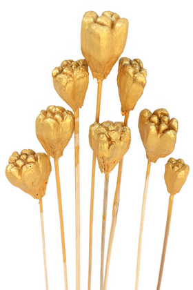 Yapay Çiçek Deposu - 8li Tropik Jack Seed Kuru Çiçek Gold-Altın Renk